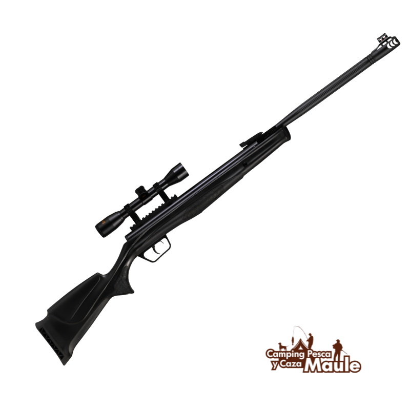 rifle beeman CAMPING PESCA Y CAZA MAULE (1)