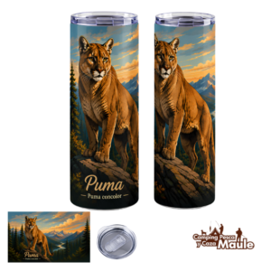 Vaso Térmico, El Señor de los Andes